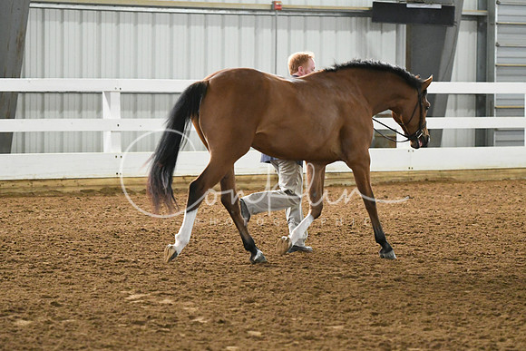 HSM_3685