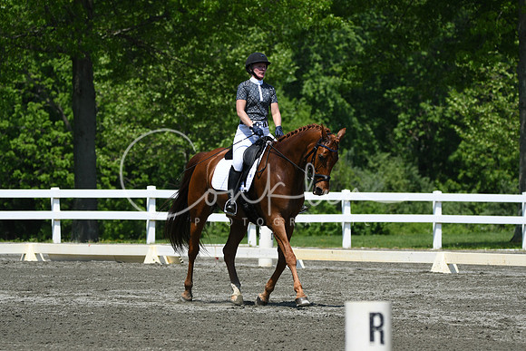HSM_2077