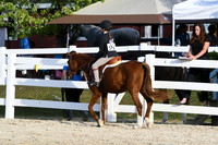 HSM_4533