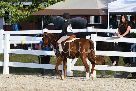 HSM_4533