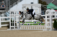 HSM_2879