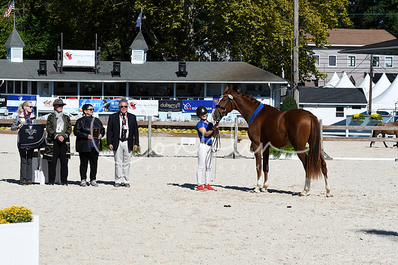 _TJP7274