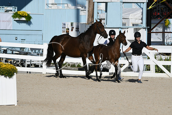 HSM_4329