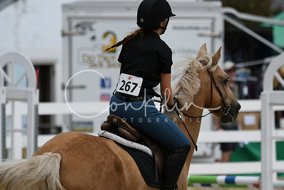 HSM_2378