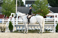 HSM_0493