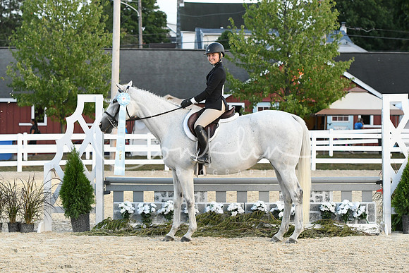 HSM_0493