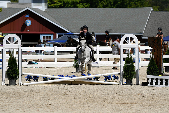 HSM_3138-1