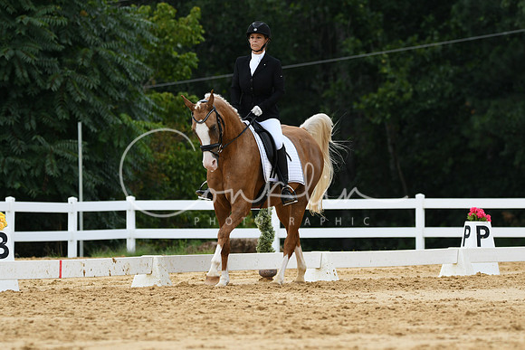 HSM_0264