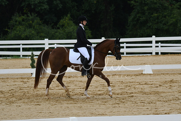 HSM_9558