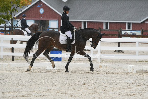 HSM_0508