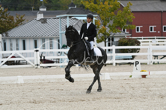 HSM_0195