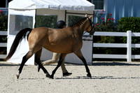 HSM_4650