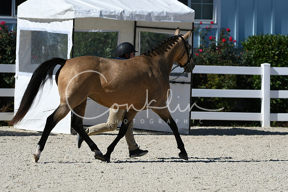 HSM_4650