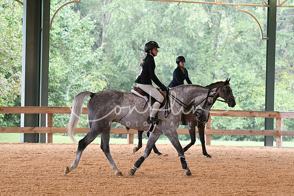HSM_2334