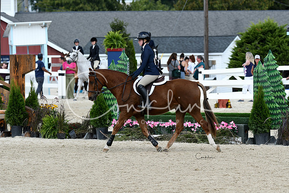 HSM_9234-1