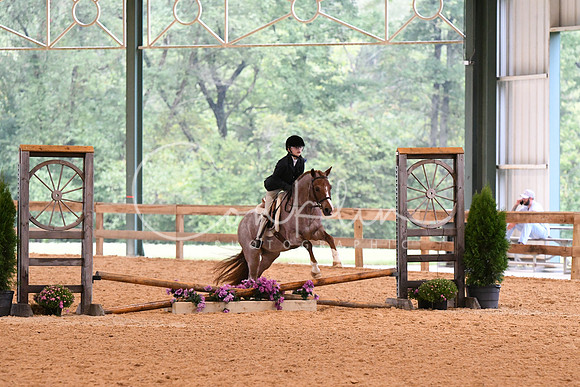 HSM_5822