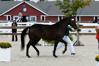 HSM_4987