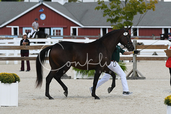 HSM_4987