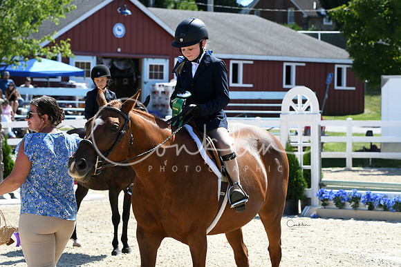 HSM_3368-1