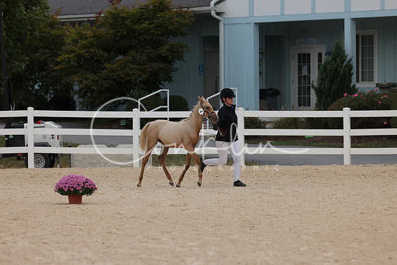 HLK_2013