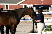 HSM_5606