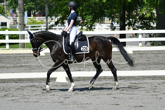 HSM_1339