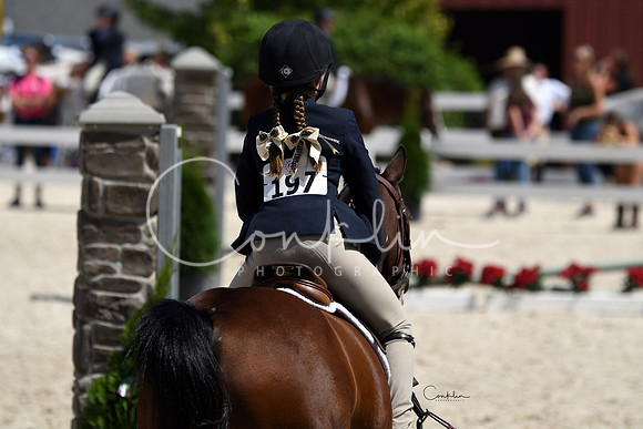 HSM_2955-1