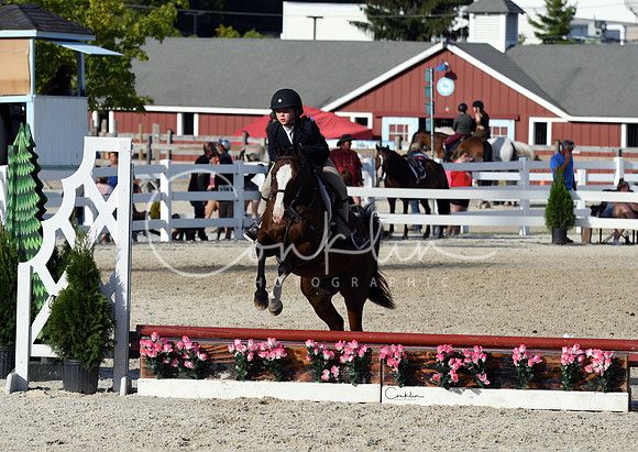 HSM_4322-1