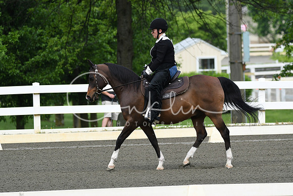 HSM_2351