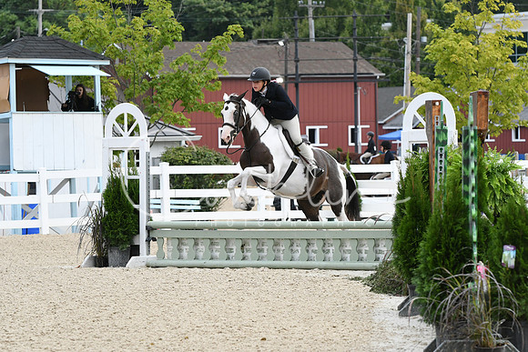 HSM_5197