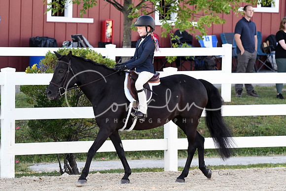 HSM_1608-1