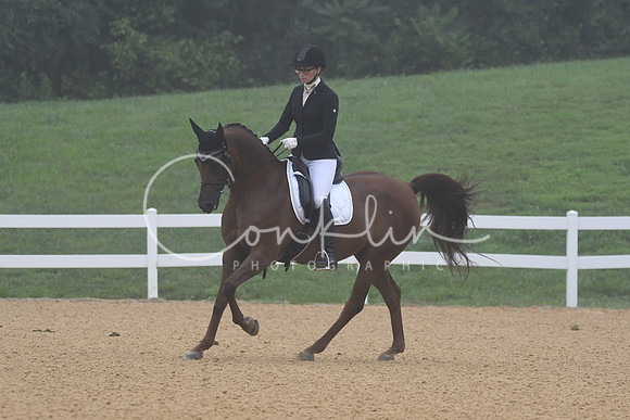 HSM_0781
