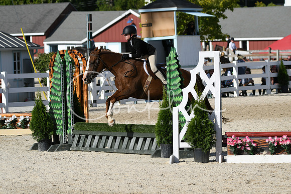 HSM_4219