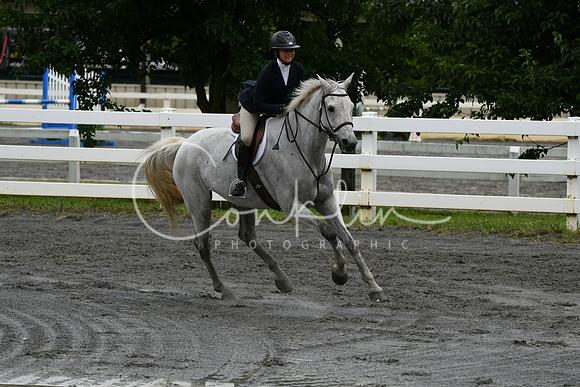 HSM_3727