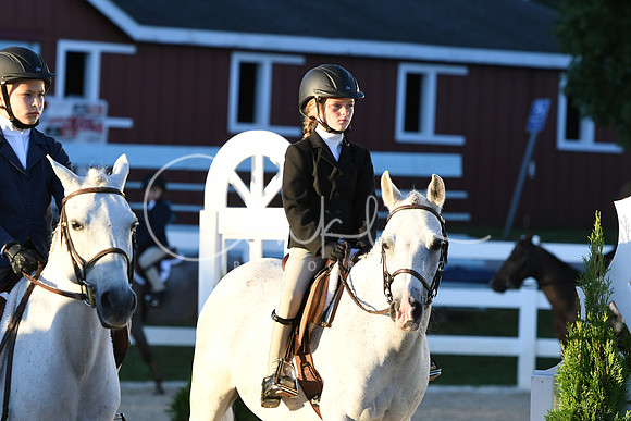 HSM_1590