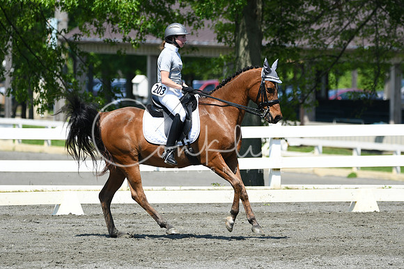 HSM_1325