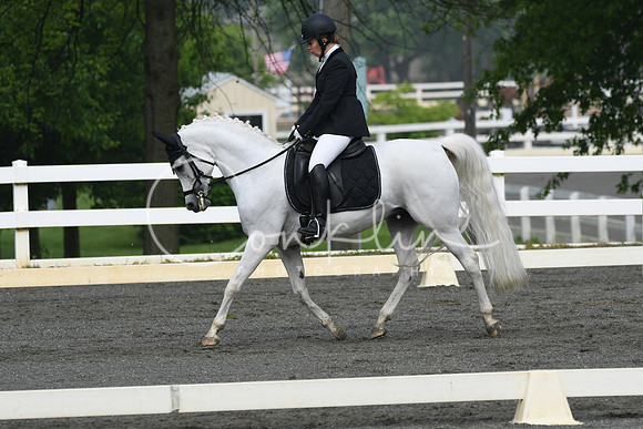 HSM_0953