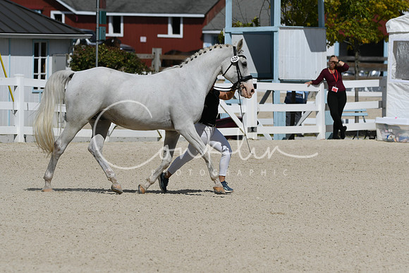 HSM_4846
