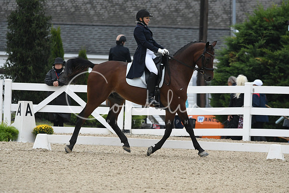 HSM_9353