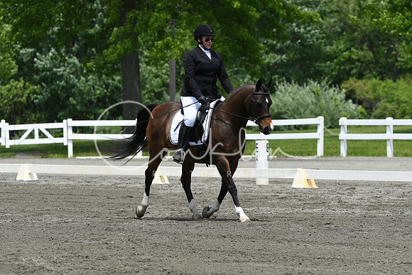 HSM_0348