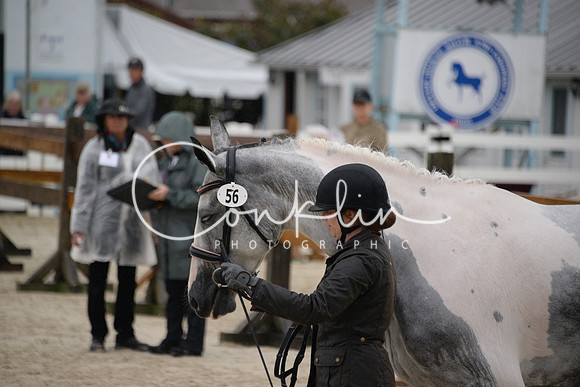 MBP_3487