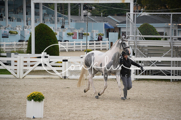 MBP_3482