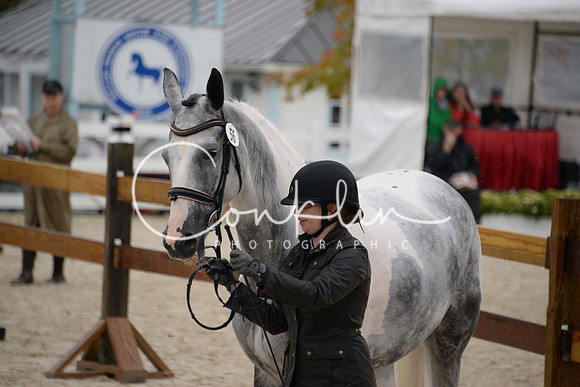 MBP_3486