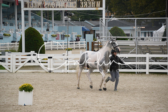 MBP_3483