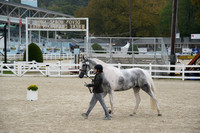 MBP_3461