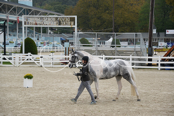 MBP_3461