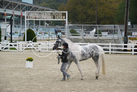 MBP_3462
