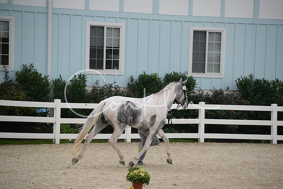 MBP_3476