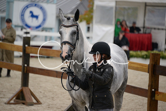 MBP_3485
