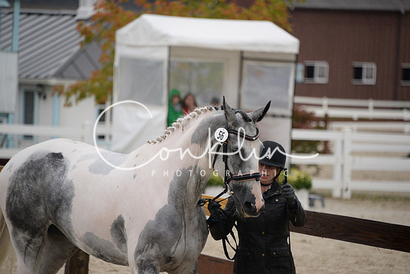 MBP_3484